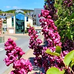 Hotel Sevda's Garni Weinforth 3*