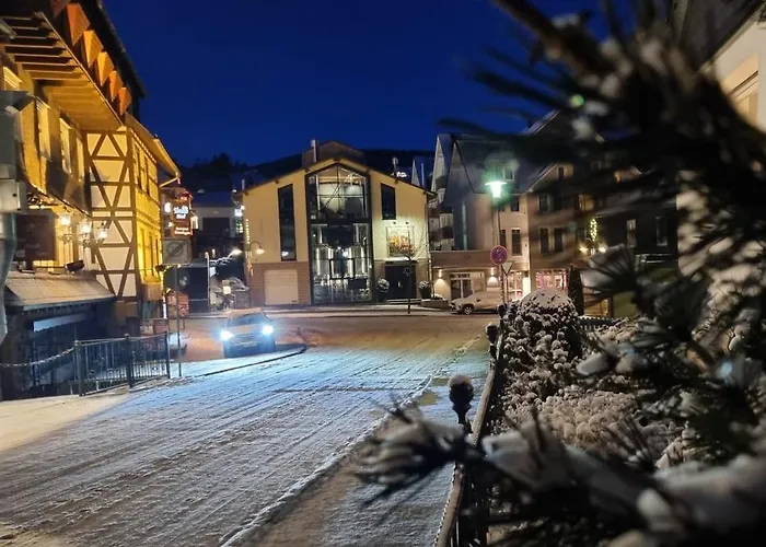 Hotel Sevda's Garni Weinforth 3*