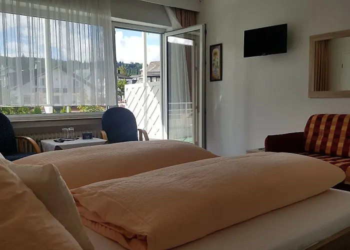 Sevda's Garni Weinforth 3* 빌링겐