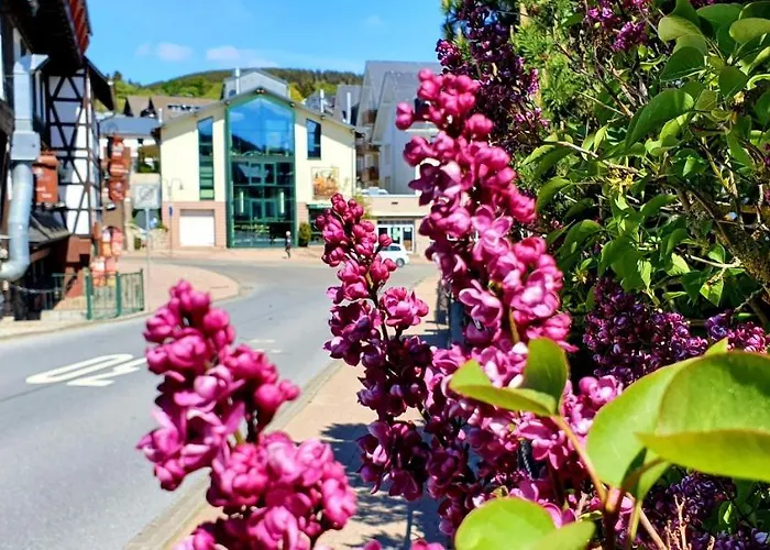 호텔 Sevda's Garni Weinforth 3*