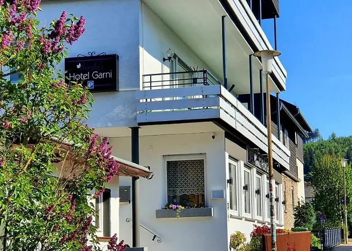 호텔 Sevda's Garni Weinforth 3*